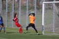 Filename=IMG_6226.JPG
Filesize=209KB
Dimensions=1024x683
Date added=Mar 06, 2017 IMG_6226.JPG