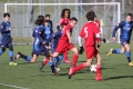 Filename=IMG_6239.JPG
Filesize=198KB
Dimensions=1024x683
Date added=Mar 06, 2017 IMG_6239.JPG