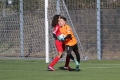 Filename=IMG_6303.JPG
Filesize=247KB
Dimensions=1024x683
Date added=Mar 06, 2017 IMG_6303.JPG