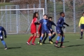 Filename=IMG_6340.JPG
Filesize=196KB
Dimensions=1024x683
Date added=Mar 06, 2017 IMG_6340.JPG