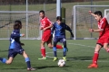 Filename=IMG_6360.JPG
Filesize=180KB
Dimensions=1024x683
Date added=Mar 06, 2017 IMG_6360.JPG