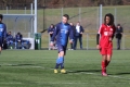 Filename=IMG_6519.JPG
Filesize=168KB
Dimensions=1024x683
Date added=Mar 06, 2017 IMG_6519.JPG