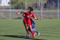 Filename=IMG_6575.JPG
Filesize=152KB
Dimensions=1024x683
Date added=Mar 06, 2017 IMG_6575.JPG