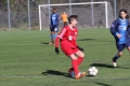 Filename=IMG_6582.JPG
Filesize=183KB
Dimensions=1024x683
Date added=Mar 06, 2017 IMG_6582.JPG