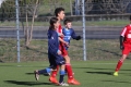 Filename=IMG_6586.JPG
Filesize=186KB
Dimensions=1024x683
Date added=Mar 06, 2017 IMG_6586.JPG