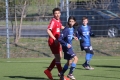 Filename=IMG_6588.JPG
Filesize=187KB
Dimensions=1024x683
Date added=Mar 06, 2017 IMG_6588.JPG