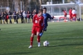 Filename=IMG_6624.JPG
Filesize=166KB
Dimensions=1024x683
Date added=Mar 06, 2017 IMG_6624.JPG