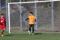Filename=IMG_6732.JPG
Filesize=285KB
Dimensions=1024x683
Date added=Mar 06, 2017 IMG_6732.JPG