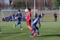 Filename=IMG_6777.JPG
Filesize=190KB
Dimensions=1024x683
Date added=Mar 06, 2017 IMG_6777.JPG