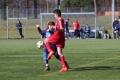 Filename=IMG_6780.JPG
Filesize=177KB
Dimensions=1024x683
Date added=Mar 06, 2017 IMG_6780.JPG