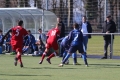 Filename=IMG_6836.JPG
Filesize=201KB
Dimensions=1024x683
Date added=Mar 06, 2017 IMG_6836.JPG