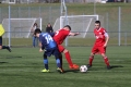Filename=IMG_6999.JPG
Filesize=166KB
Dimensions=1024x683
Date added=Mar 06, 2017 IMG_6999.JPG