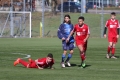 Filename=IMG_7013.JPG
Filesize=177KB
Dimensions=1024x683
Date added=Mar 06, 2017 IMG_7013.JPG