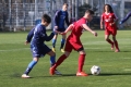 Filename=IMG_7056.JPG
Filesize=193KB
Dimensions=1024x683
Date added=Mar 06, 2017 IMG_7056.JPG
