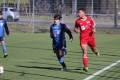 Filename=IMG_7097.JPG
Filesize=173KB
Dimensions=1024x683
Date added=Mar 06, 2017 IMG_7097.JPG