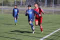 Filename=IMG_7099.JPG
Filesize=168KB
Dimensions=1024x683
Date added=Mar 06, 2017 IMG_7099.JPG