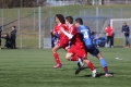 Filename=IMG_7131.JPG
Filesize=163KB
Dimensions=1024x683
Date added=Mar 06, 2017 IMG_7131.JPG