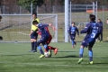 Filename=IMG_7214.JPG
Filesize=194KB
Dimensions=1024x683
Date added=Mar 06, 2017 IMG_7214.JPG