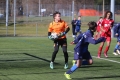 Filename=IMG_7303.JPG
Filesize=196KB
Dimensions=1024x683
Date added=Mar 06, 2017 IMG_7303.JPG