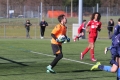 Filename=IMG_7305.JPG
Filesize=180KB
Dimensions=1024x683
Date added=Mar 06, 2017 IMG_7305.JPG