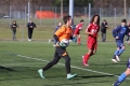 Filename=IMG_7306.JPG
Filesize=179KB
Dimensions=1024x683
Date added=Mar 06, 2017 IMG_7306.JPG