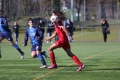 Filename=IMG_7377.JPG
Filesize=174KB
Dimensions=1024x683
Date added=Mar 06, 2017 IMG_7377.JPG