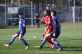 Filename=IMG_7382.JPG
Filesize=179KB
Dimensions=1024x683
Date added=Mar 06, 2017 IMG_7382.JPG