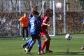 Filename=IMG_7398.JPG
Filesize=192KB
Dimensions=1024x683
Date added=Mar 06, 2017 IMG_7398.JPG