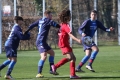 Filename=IMG_7401.JPG
Filesize=198KB
Dimensions=1024x683
Date added=Mar 06, 2017 IMG_7401.JPG