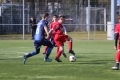 Filename=IMG_7407.JPG
Filesize=182KB
Dimensions=1024x683
Date added=Mar 06, 2017 IMG_7407.JPG