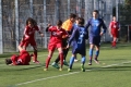 Filename=IMG_7418.JPG
Filesize=219KB
Dimensions=1024x683
Date added=Mar 06, 2017 IMG_7418.JPG