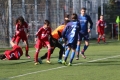 Filename=IMG_7419.JPG
Filesize=202KB
Dimensions=1024x683
Date added=Mar 06, 2017 IMG_7419.JPG
