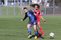 Filename=IMG_7452.JPG
Filesize=179KB
Dimensions=1024x683
Date added=Mar 06, 2017 IMG_7452.JPG