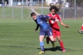 Filename=IMG_7453.JPG
Filesize=175KB
Dimensions=1024x683
Date added=Mar 06, 2017 IMG_7453.JPG