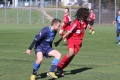 Filename=IMG_7454.JPG
Filesize=189KB
Dimensions=1024x683
Date added=Mar 06, 2017 IMG_7454.JPG