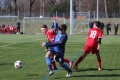 Filename=IMG_7548.JPG
Filesize=189KB
Dimensions=1024x683
Date added=Mar 06, 2017 IMG_7548.JPG