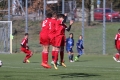 Filename=IMG_7598.JPG
Filesize=166KB
Dimensions=1024x683
Date added=Mar 06, 2017 IMG_7598.JPG