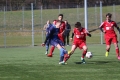 Filename=IMG_7604.JPG
Filesize=185KB
Dimensions=1024x683
Date added=Mar 06, 2017 IMG_7604.JPG