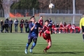 Filename=IMG_7672.JPG
Filesize=175KB
Dimensions=1024x683
Date added=Mar 06, 2017 IMG_7672.JPG