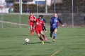 Filename=IMG_7749.JPG
Filesize=180KB
Dimensions=1024x683
Date added=Mar 06, 2017 IMG_7749.JPG