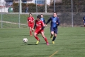 Filename=IMG_7750.JPG
Filesize=183KB
Dimensions=1024x683
Date added=Mar 06, 2017 IMG_7750.JPG