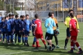 Filename=IMG_7977.JPG
Filesize=259KB
Dimensions=1024x683
Date added=Mar 06, 2017 IMG_7977.JPG