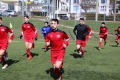 Filename=IMG_8077.JPG
Filesize=208KB
Dimensions=1024x683
Date added=Mar 07, 2017 IMG_8077.JPG