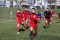 Filename=IMG_8096.JPG
Filesize=222KB
Dimensions=1024x683
Date added=Mar 07, 2017 IMG_8096.JPG