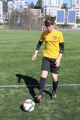 Filename=IMG_8432.JPG
Filesize=235KB
Dimensions=683x1024
Date added=Mar 07, 2017 IMG_8432.JPG