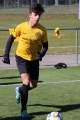 Filename=IMG_8568.JPG
Filesize=173KB
Dimensions=683x1024
Date added=Mar 07, 2017 IMG_8568.JPG