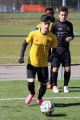Filename=IMG_8656.JPG
Filesize=200KB
Dimensions=683x1024
Date added=Mar 07, 2017 IMG_8656.JPG