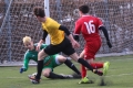 Filename=IMG_8819.JPG
Filesize=221KB
Dimensions=1024x683
Date added=Mar 07, 2017 IMG_8819.JPG