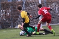 Filename=IMG_8820.JPG
Filesize=217KB
Dimensions=1024x683
Date added=Mar 07, 2017 IMG_8820.JPG