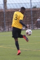Filename=IMG_8884.JPG
Filesize=171KB
Dimensions=683x1024
Date added=Mar 07, 2017 IMG_8884.JPG